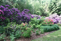 Killikus&reg; Fotographie